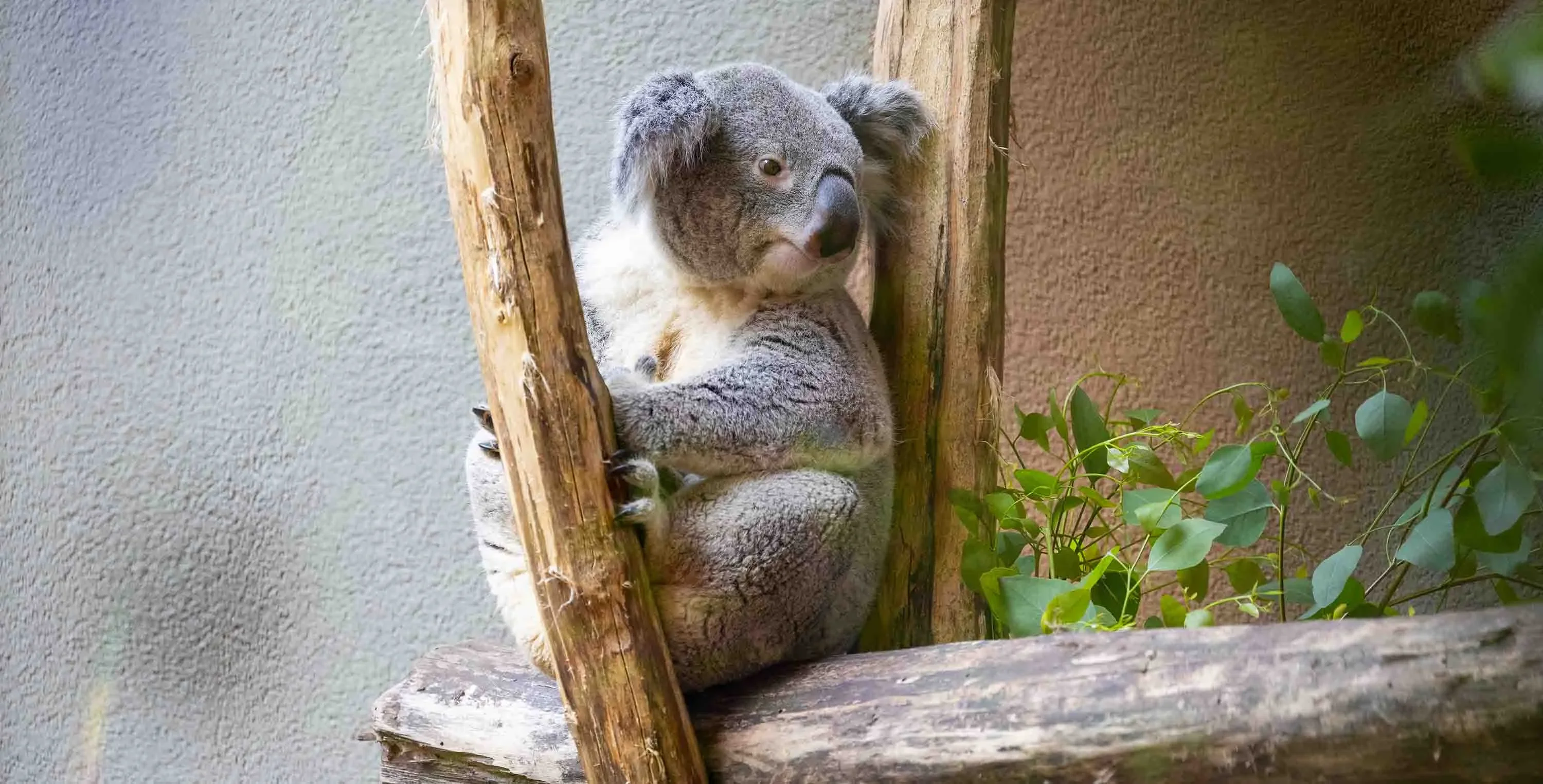 Ouwehands-Dierenpark_BLOK7-0 Ouwehands-Dierenpark_BLOK7-0